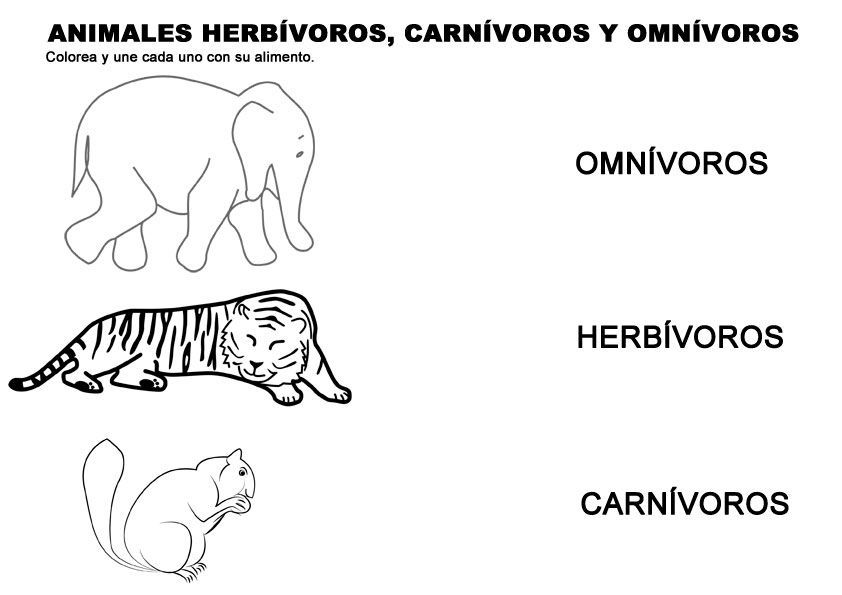 ficha para colorear animales herbívoros, carnívoros y omnívoros