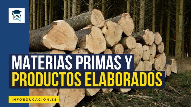 materias primas y productos elaborados