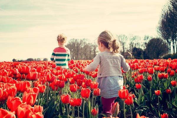 plantas para niños
